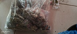 Confiscated dagga