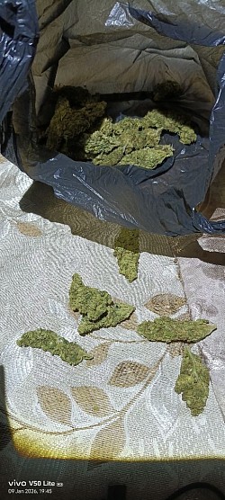 Confiscated drug paraphernalia