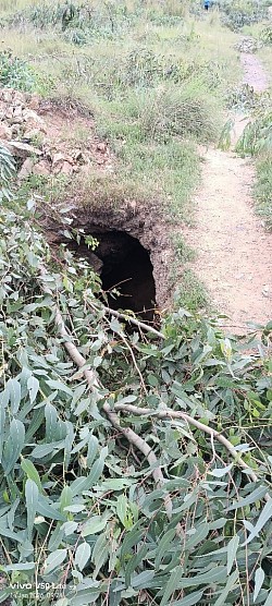 Illegal mining shaft