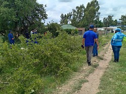 Contractor assisting to cut trees around illegal mining shaft  Jan 2026